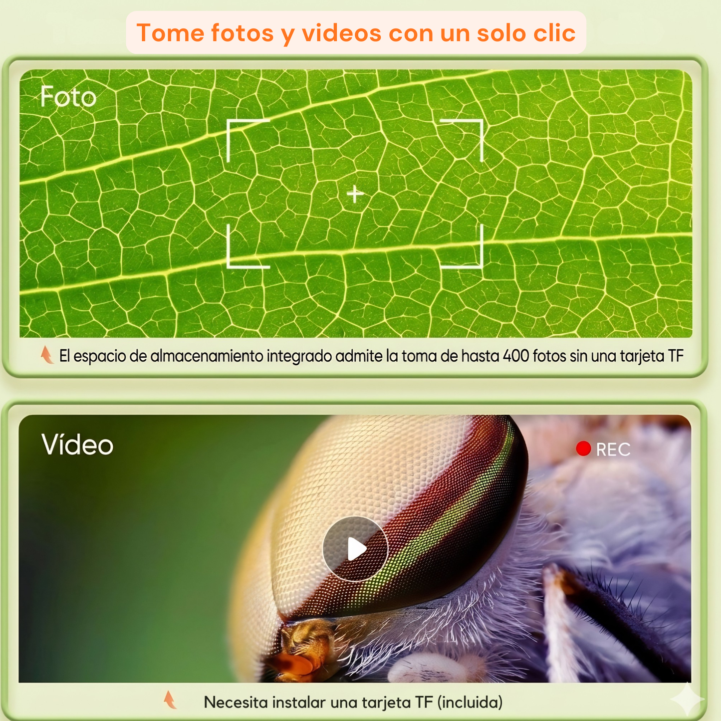 Kit Explorador: Microscopio Infantil Portable Digital HD + Guía de Crianza Digital 🔬✨